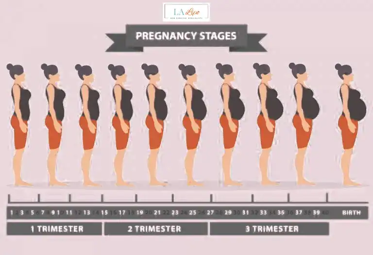First Trimester (Weeks 1–12): Early Changes You Might Not Notice Greater London (Hammersmith and Fulham)
